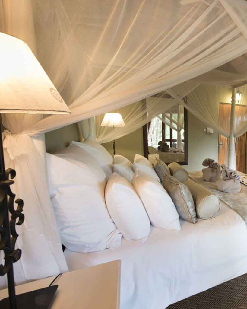 Kambaku Safari Lodge Accommodation