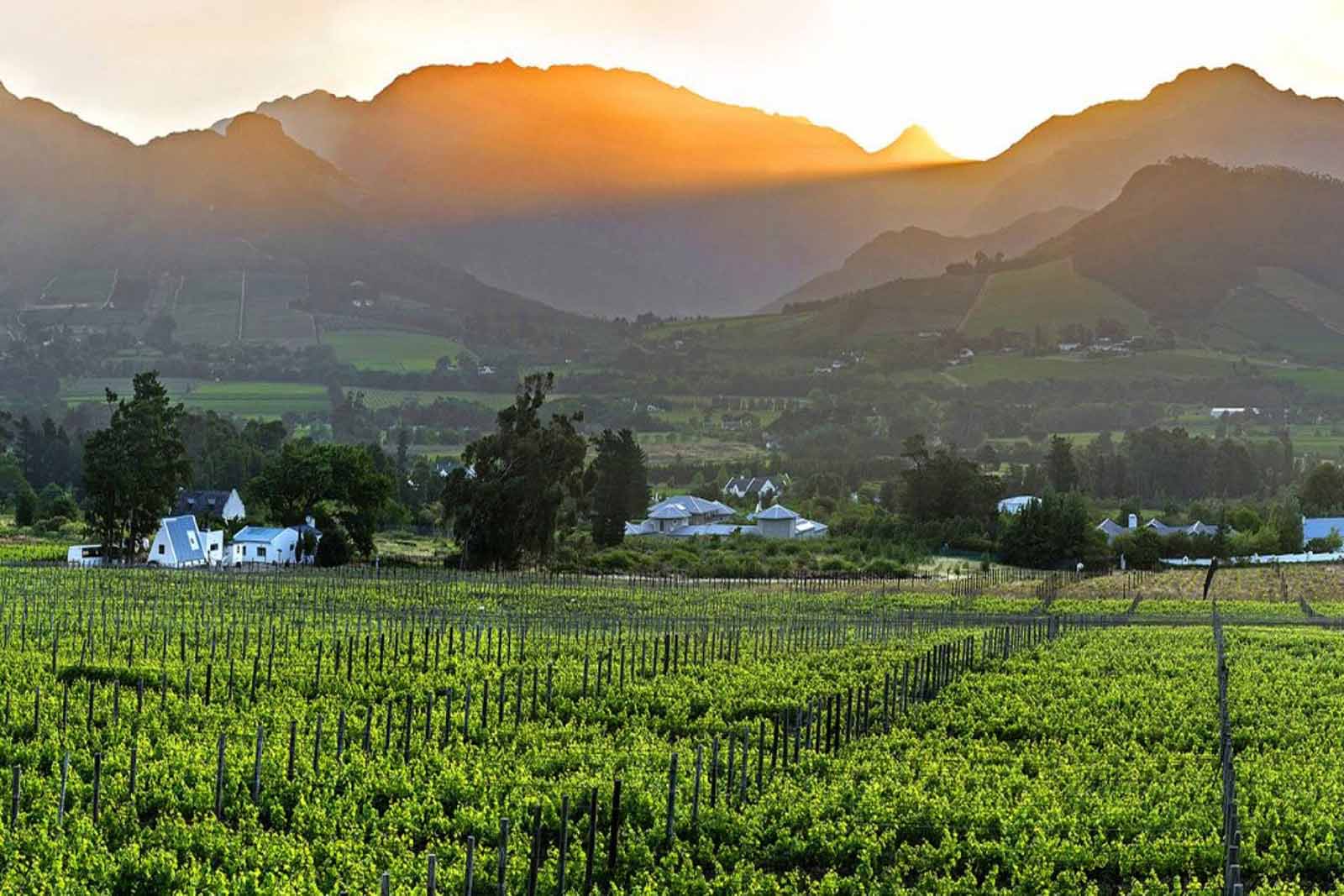 View across the Winelands