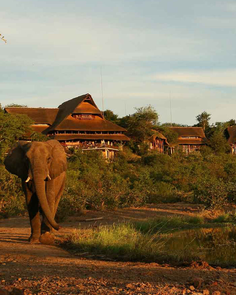 View of Victoria Falls Safari Lodge