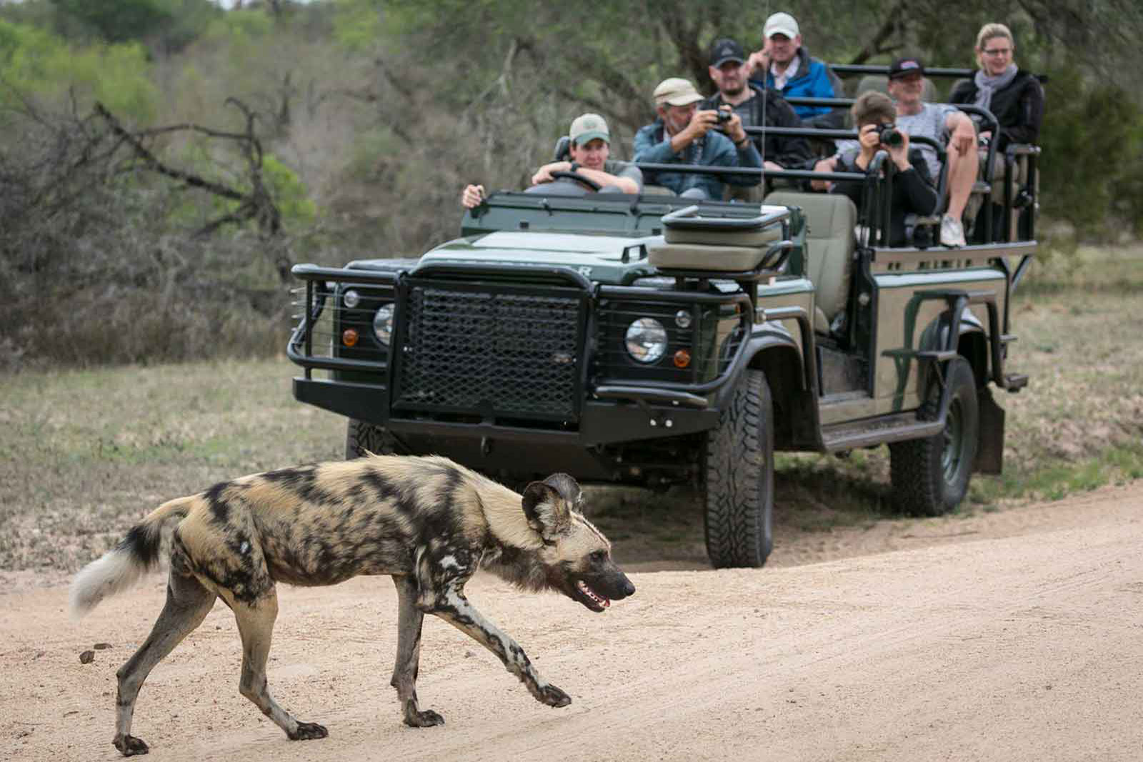 Umkumbe Safari Lodge Game Drives