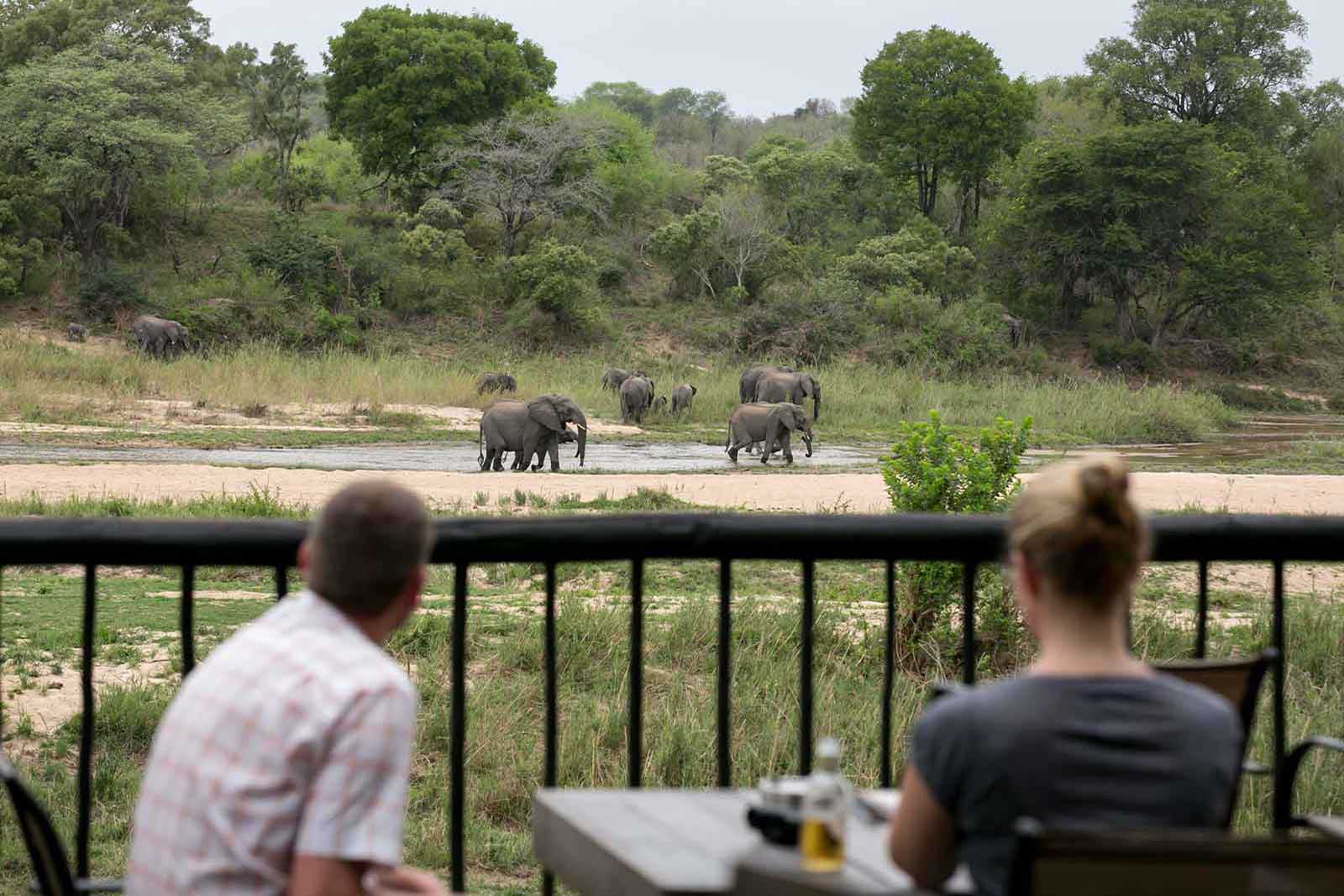 Umkumbe Safari Lodge Game viewing from deck