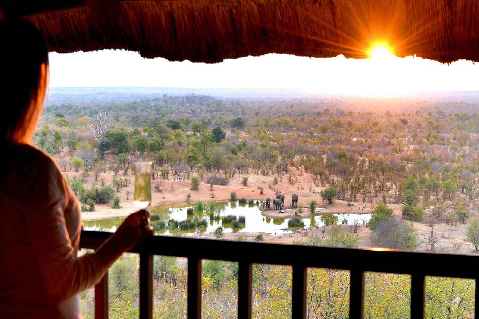 Victoria Safari Lodge views