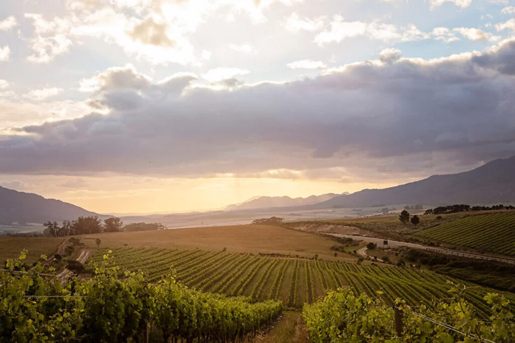 Hemel and Aarde valley Hermanus