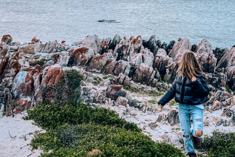Hermanus in winter offers uncrowded beach walks and whale watching